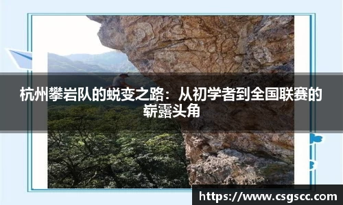 星空体育网站入口