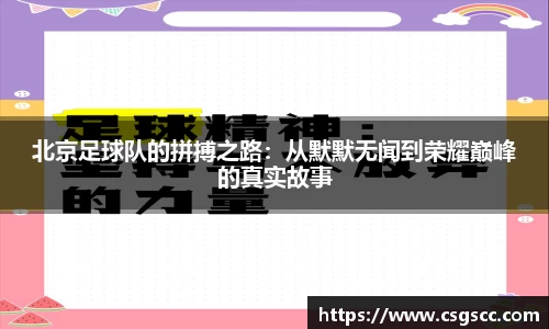 星空体育平台app