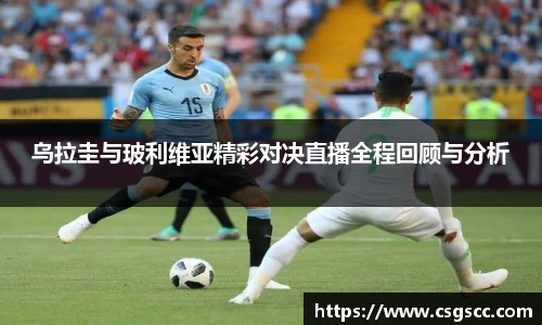 星空体育(中国)官方网站